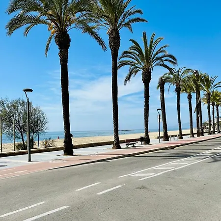 Maite Playa Apartment *